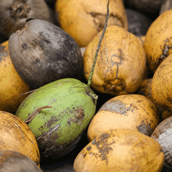 images-ripeness-detection