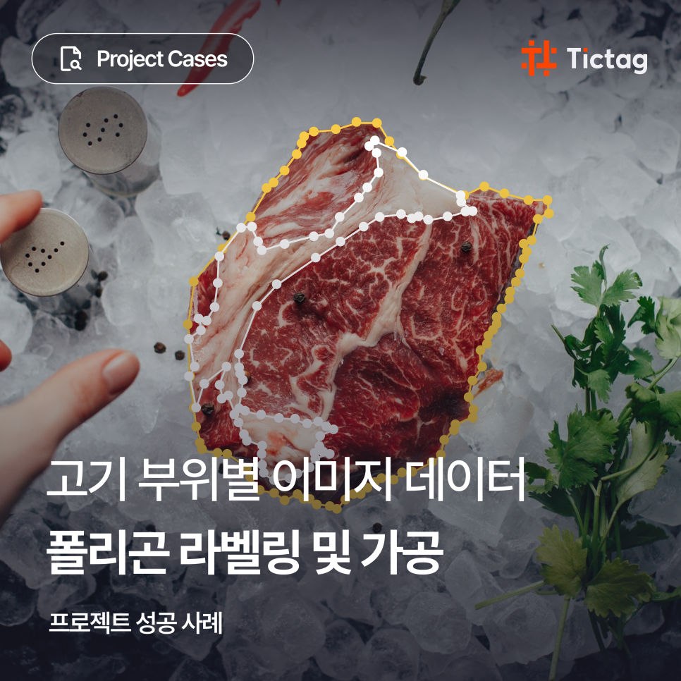 Project_Cases_1_meat