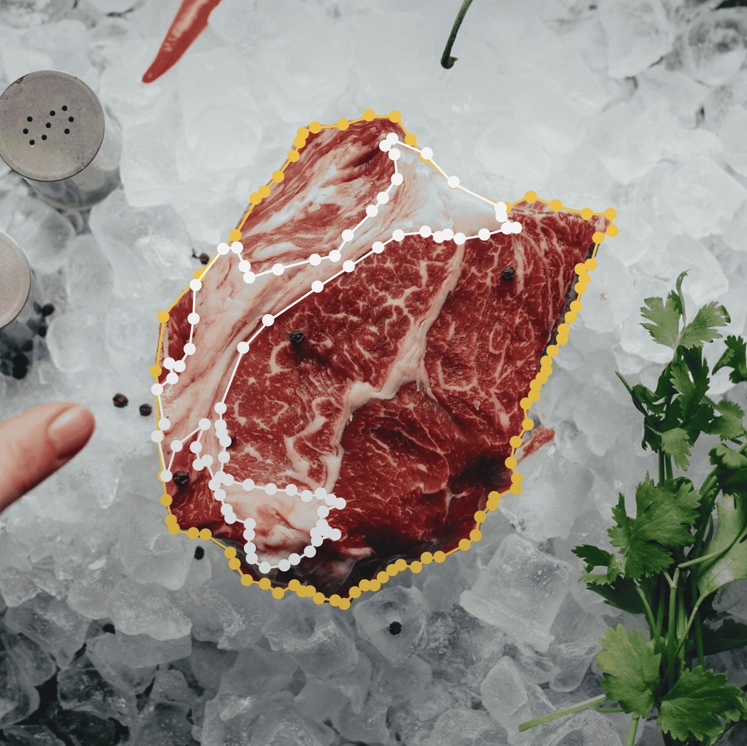 Project-Cases-1-meat-cut-image-polygon-labeling-processing-noText